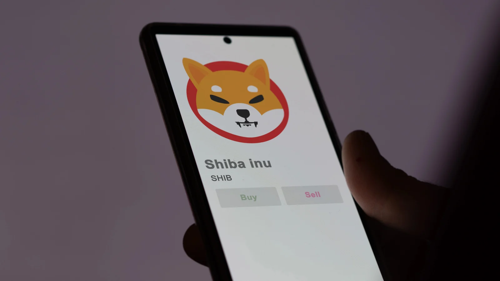 На биржи поступило 400 млрд Shiba Inu: вера в рост SHIB ослабевает