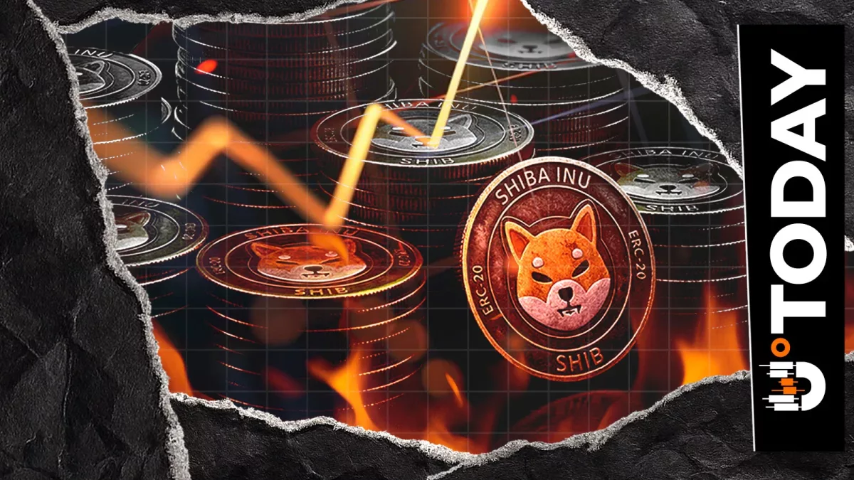 Shiba Inu достиг 20 000 транзакций сжигания токенов