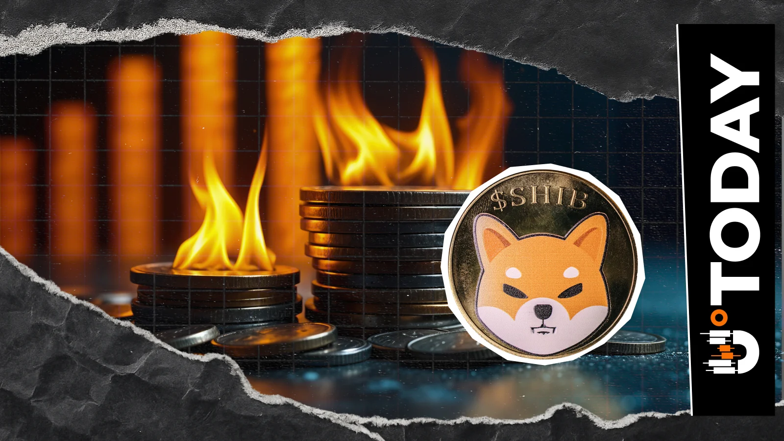 Shiba Inu демонстрирует рост скорости сжигания токенов на 405%