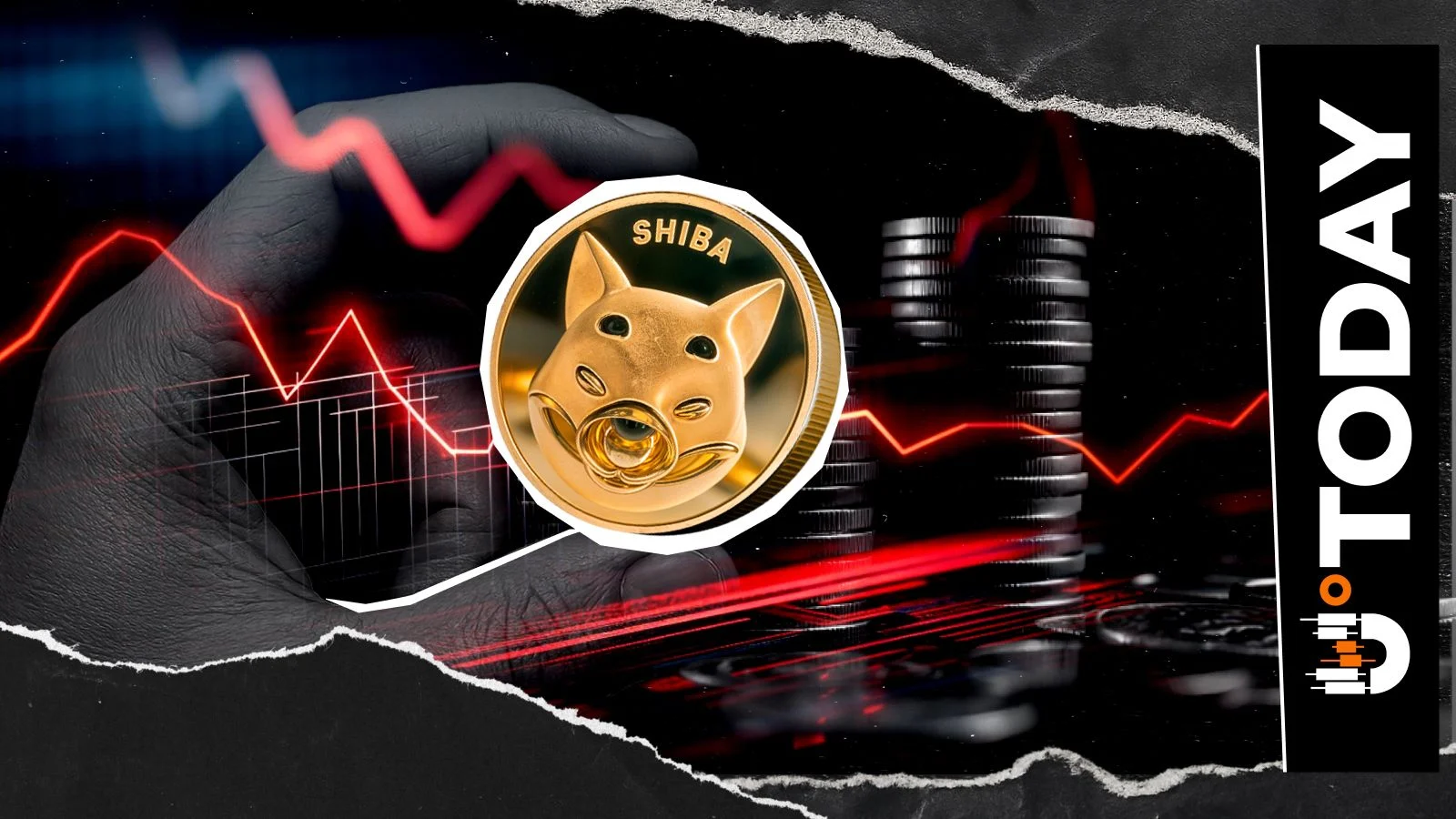Число владельцев Shiba Inu достигло 1,58 миллиона на фоне роста популярности