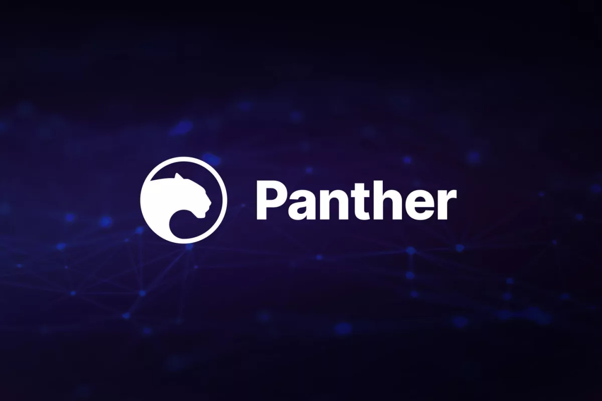 Panther Protocol запустил приватную инфраструктуру на Polygon: что это значит для российских инвесторов