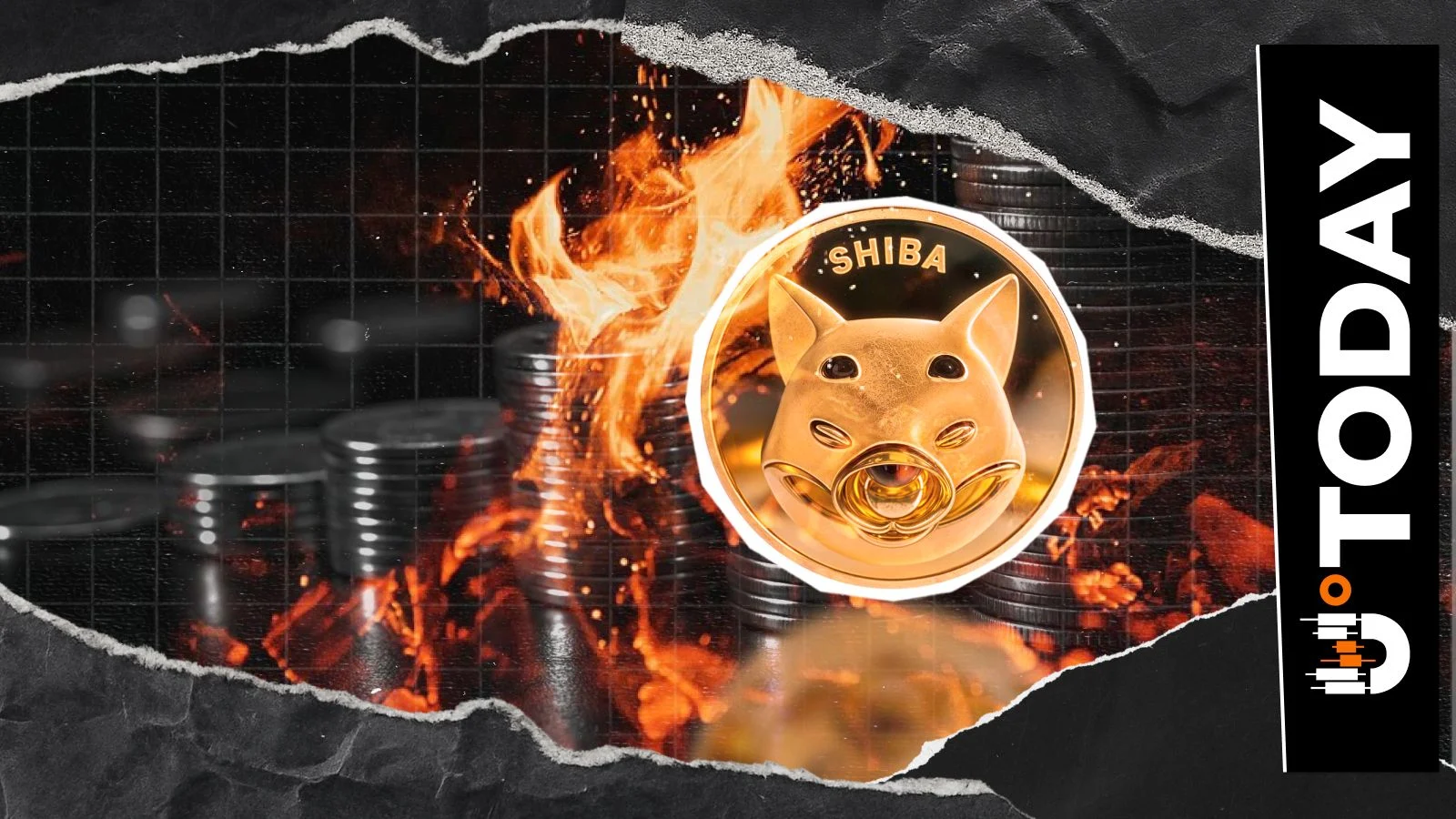Рост активности сжигания токенов Shiba Inu достиг 237%