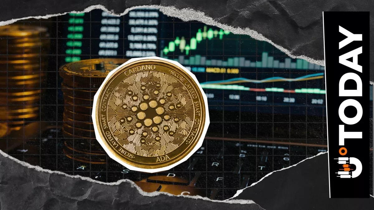 Объём торгов Cardano (ADA) вырос на 79% на фоне роста цены