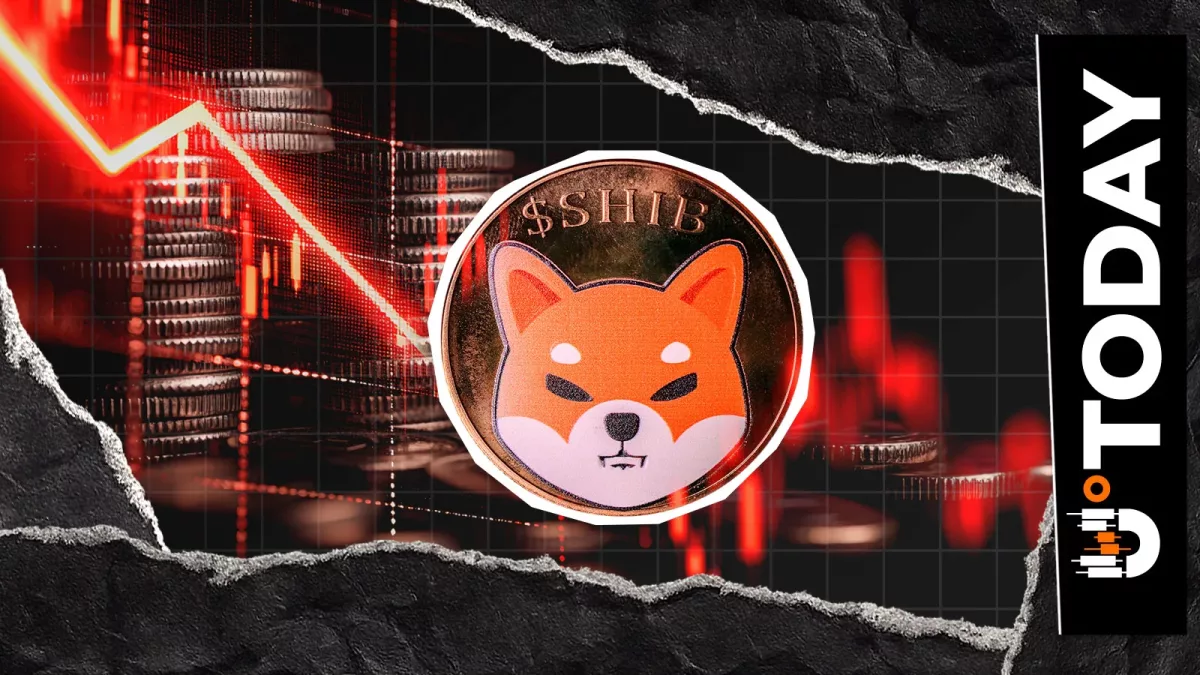 С бирж выведено 228 млрд SHIB: сокращение предложения Shiba Inu продолжается