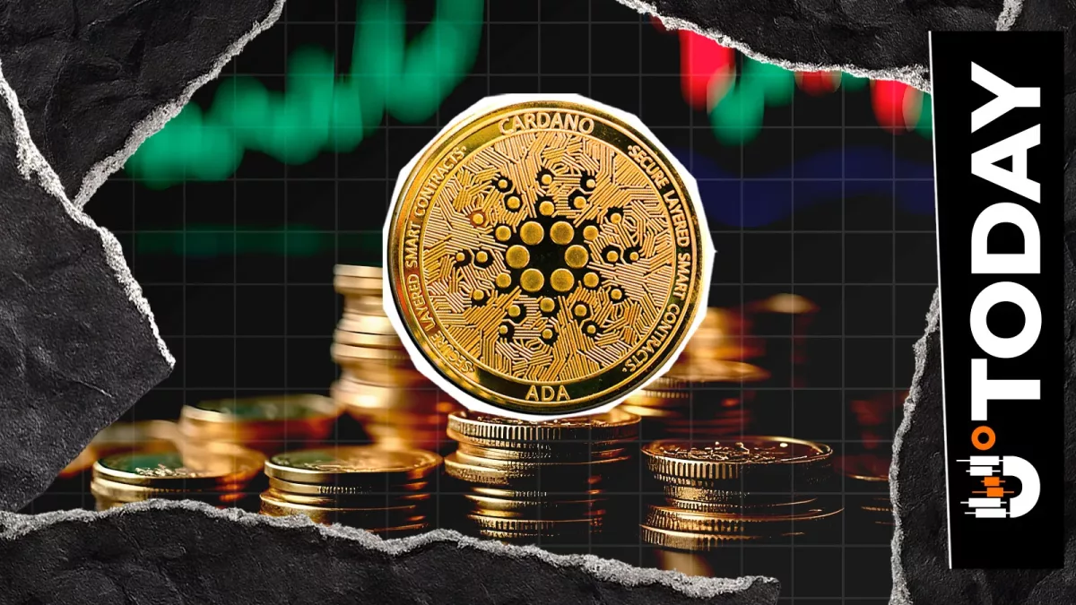 Количество держателей Cardano превысило 10 миллионов