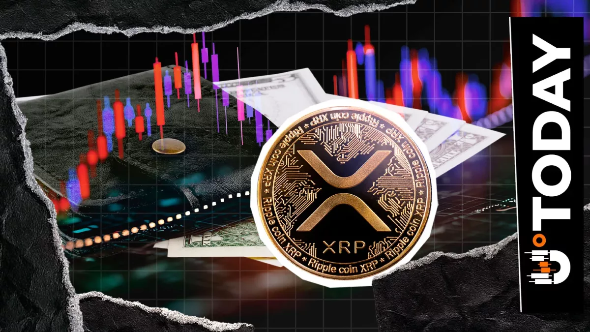 41% убытков на кошельках XRP: сигнал к покупке или предупреждение?
