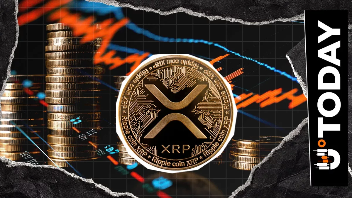 Доля прибыльных кошельков XRP достигла минимума с июля 2024 года