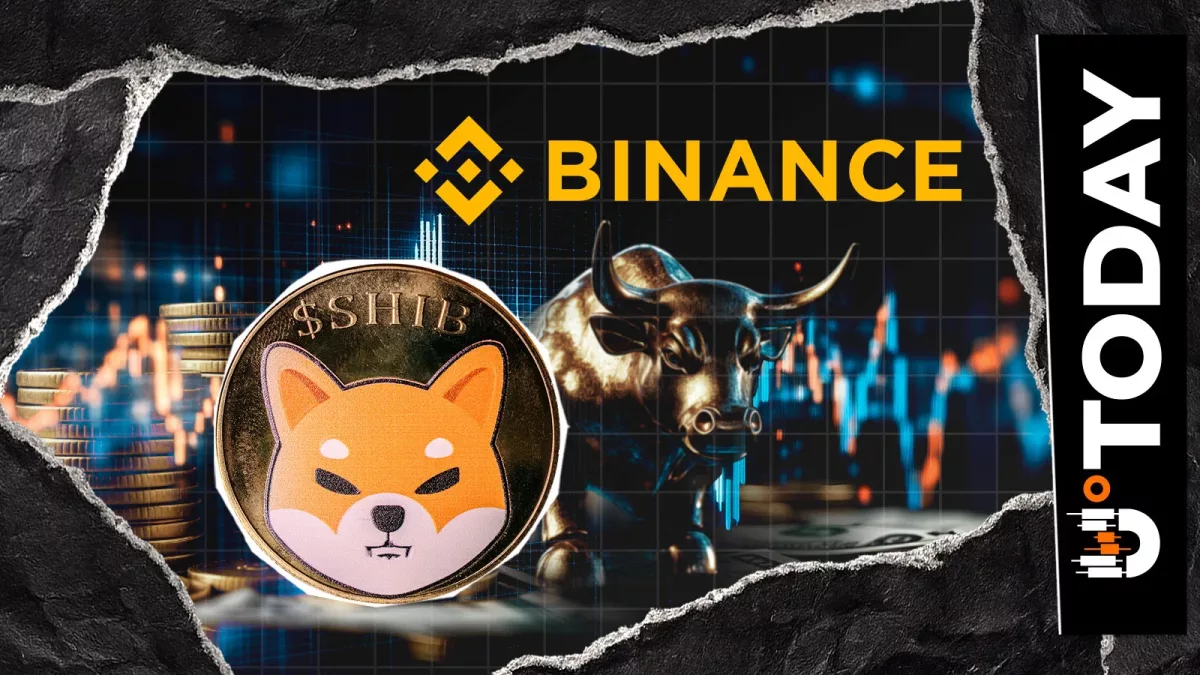 Крупные трейдеры Binance проявляют бычий настрой к Shiba Inu (SHIB)